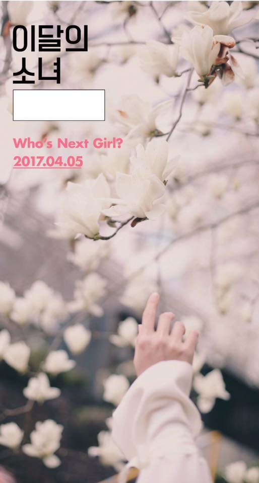 本月少女 預告照