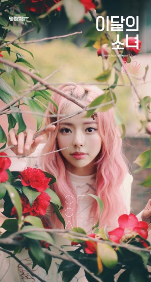 本月少女 ViVi 個人單曲概念照
