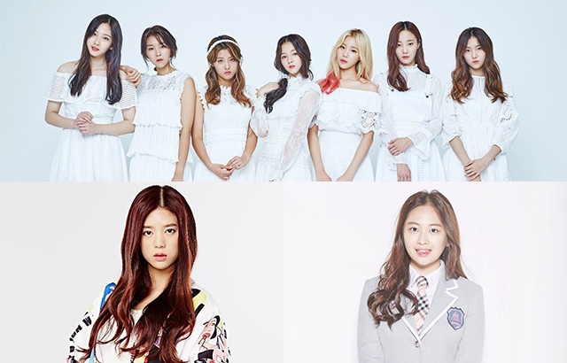 MOMOLAND、Daisy、Kim Tae Ha(來源：Dublekick Company、heraldcorp、《PRODUCE 101》官方網站)