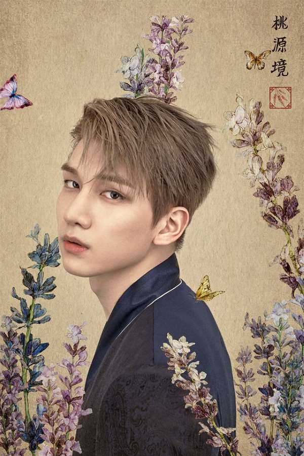 Hyuk《桃源境》概念照