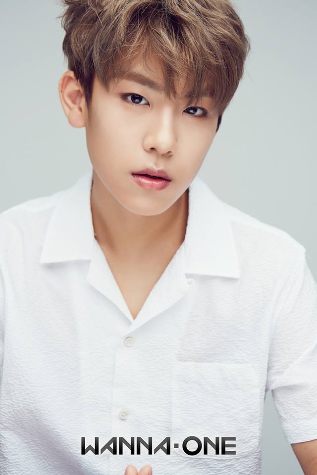 朴佑鎮