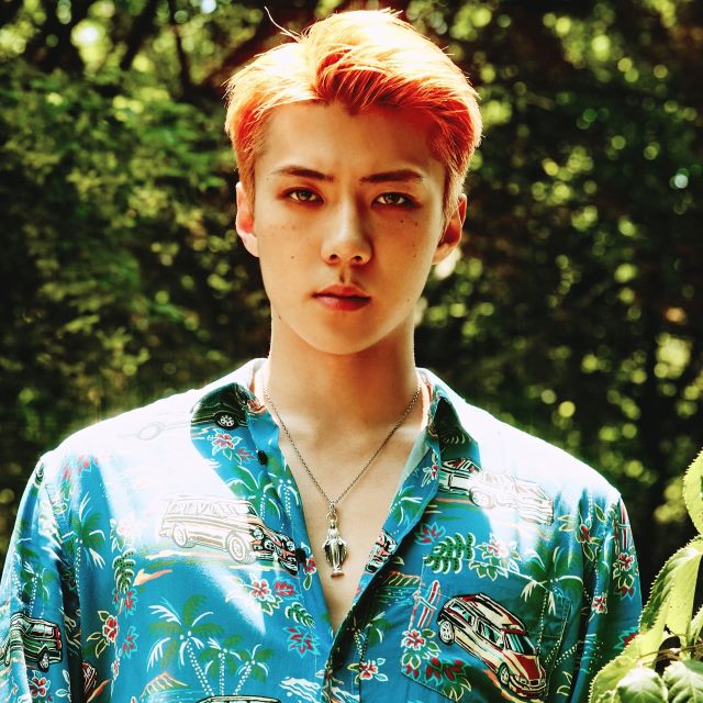 世勳《THE WAR》概念照