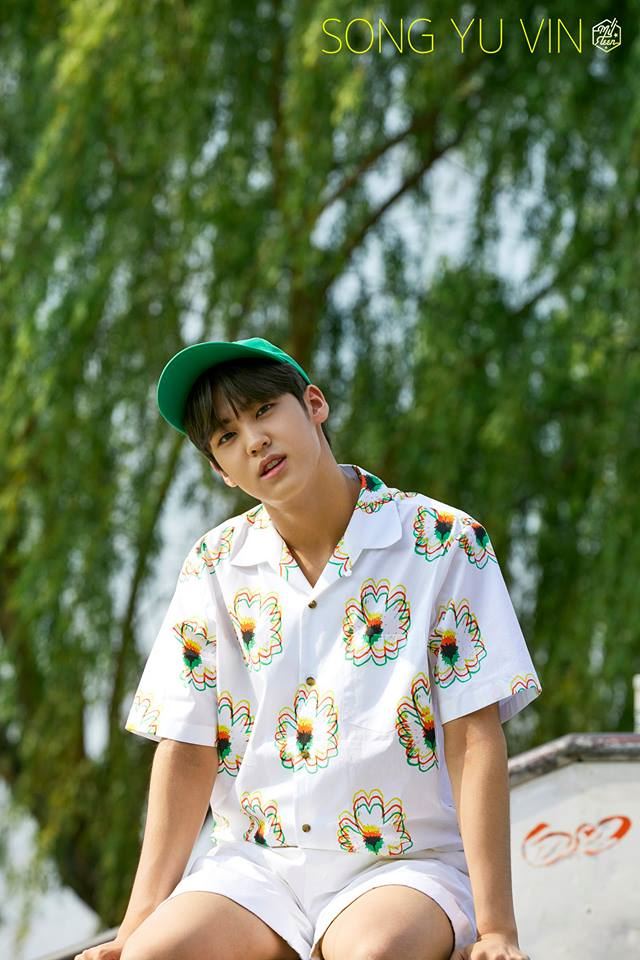 Song Yu Vin 概念照