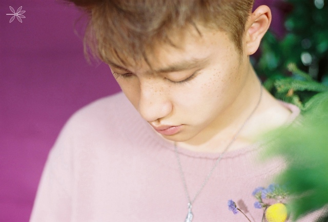 D.O.《THE WAR》概念照