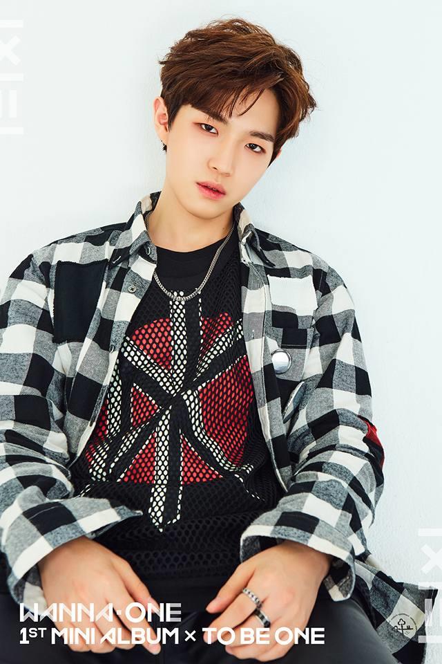 金在奐《1X1=1 (TO BE ONE)》概念照 (來源：Wanna One@FB)