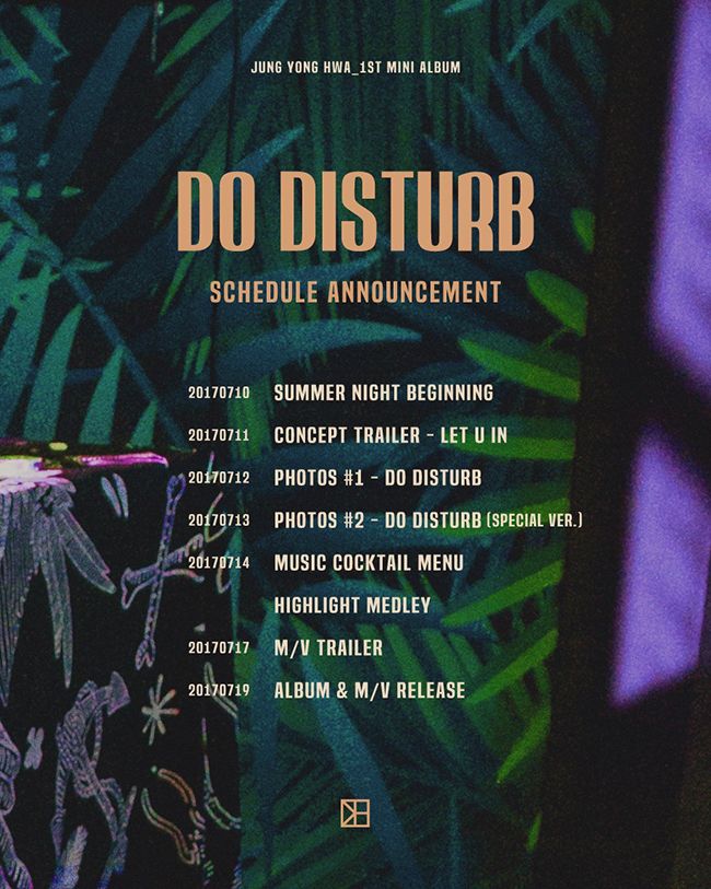 鄭容和《DO DISTURB》行程表(來源：CNBLUE@Facebook)