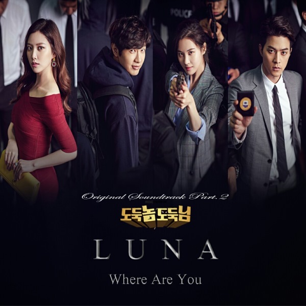 Luna《小偷，俠盜》OST 封面