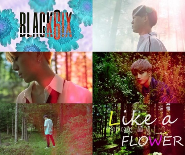 BLACK6IX《Like a Flower》預告影片
