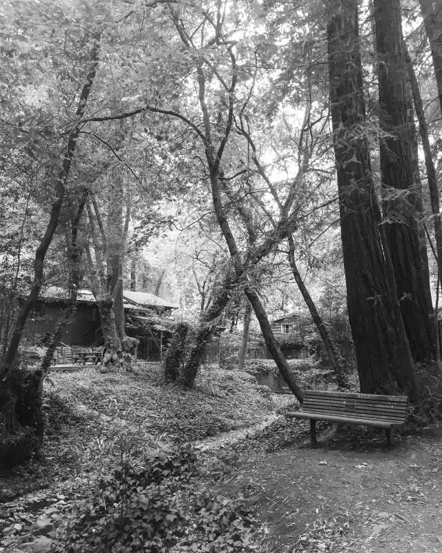 可能為宋仲基、宋慧喬婚紗照拍攝地的舊金山某處