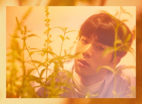 JIN《LOVE YOURSELF》O 版概念照