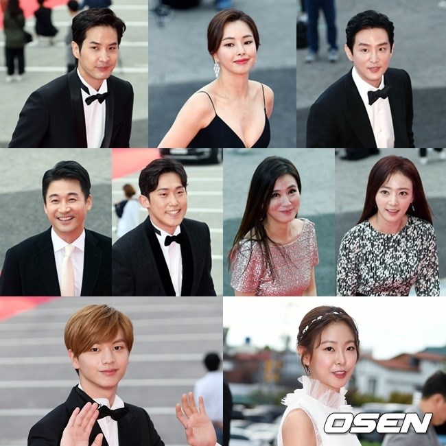 2017《Korea Drama Awards》紅毯